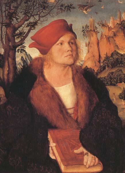 Lucas Cranach the Elder Dr.Johannes Cupinian (mk45) Sweden oil painting art